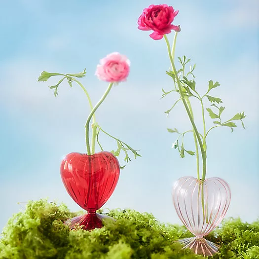 Glass Heart Bud Vase - Terrain