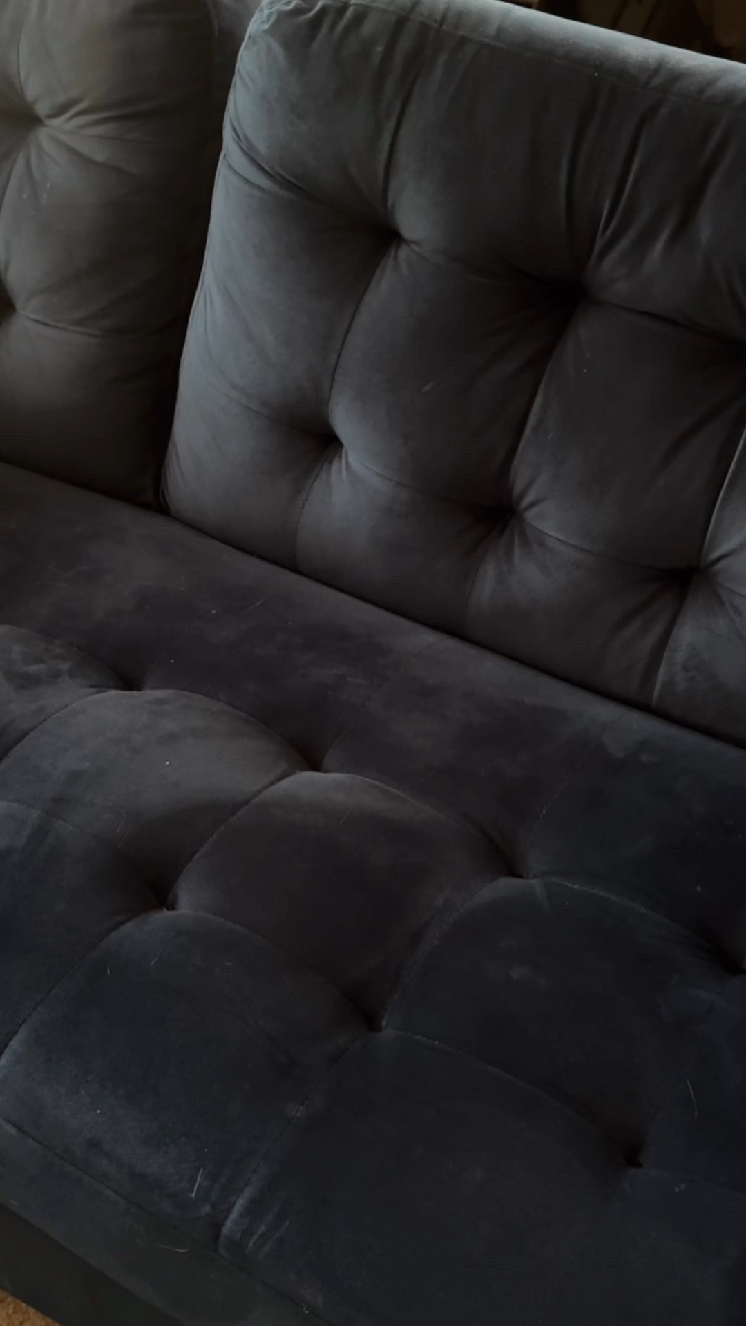 Aprils Fabletics Order 🖤🐝

#LTKTravel #LTKActive