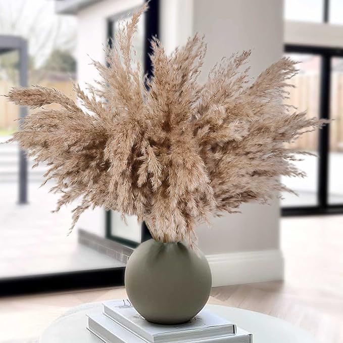 HUMINBO Dried Pampas Grass Decor Fall Decorations for Home 30 Pcs Pompas Floral Brown Pampass Flu... | Amazon (US)
