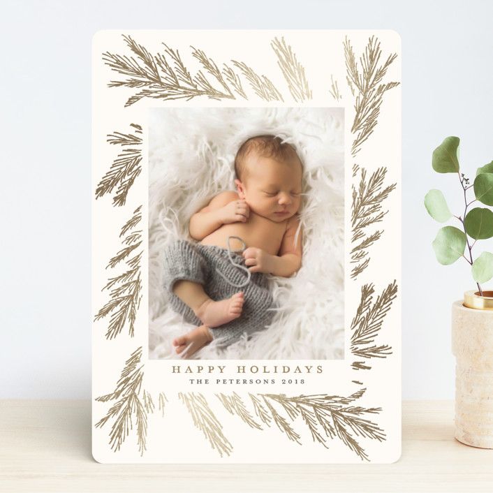 Gilded Holiday Pine | Minted