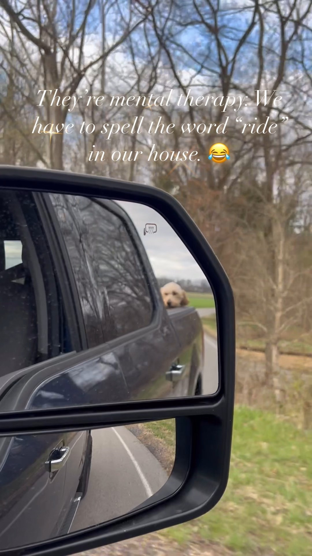 The definition of pure joy? A r-i-d-e with the doodles. 🚗🐶 We literally have to spell it out, or all chaos breaks loose! Who else has to do this? 😂

Sharing my favorite pet-friendly car essentials, from seat covers to travel must-haves! Shop them all on my LTK. #DoodleLife #FurryCoPilot #LTKPets #CarRideVibes