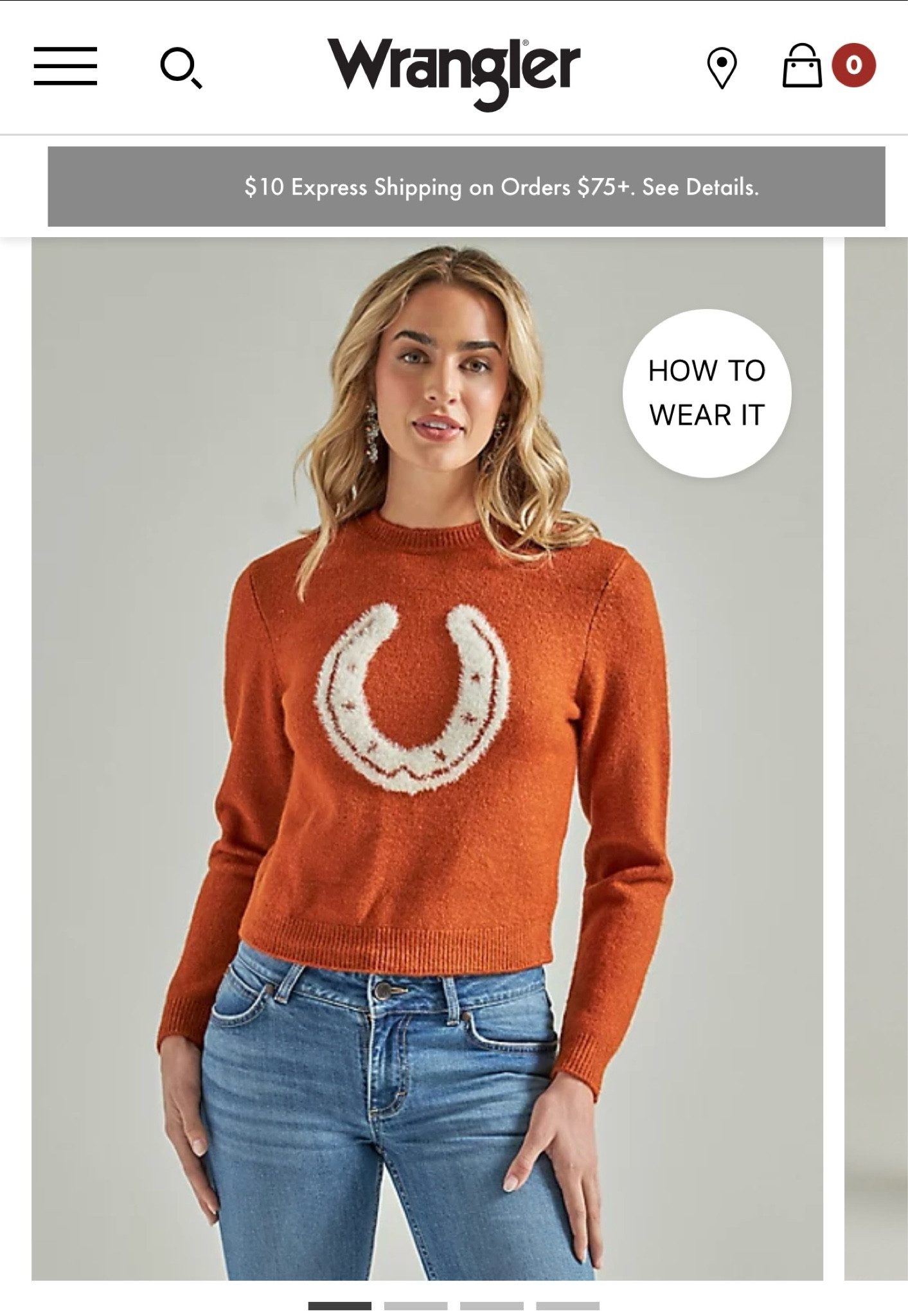 Horse lover sweater!!! Cozy equestrian fashion! 

#LTKfindsunder50 #LTKstyletip #LTKGiftGuide