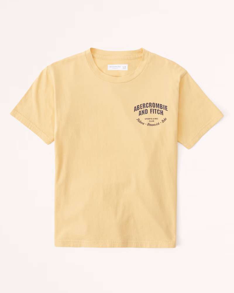 graphic logo tee | Abercrombie & Fitch (US)