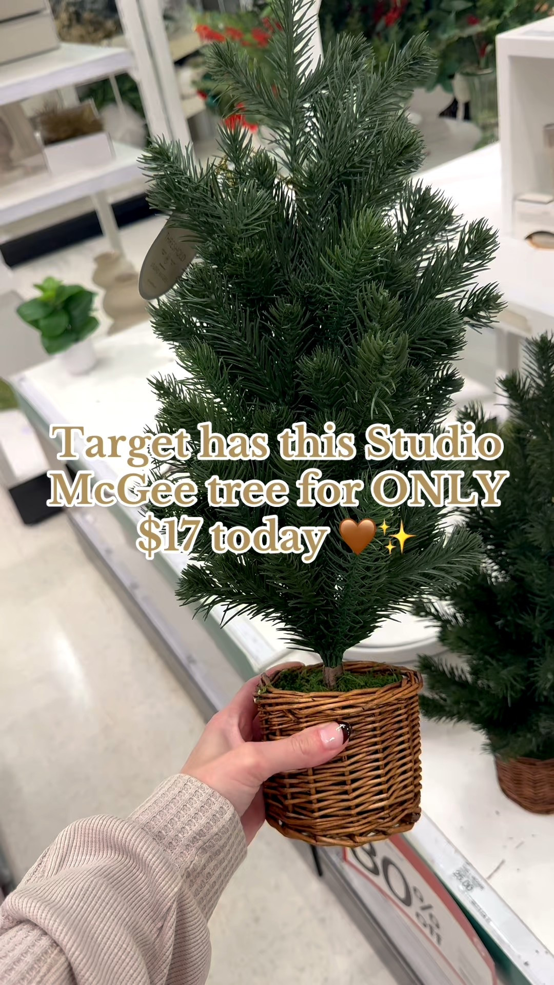 This Studio McGee tree is SUCH a good deal right now, only $17.50! 🤎✨
A perfect cozy Christmas accent for shelves, consoles, or your entryway.
Linking it here along with a few similar budget-friendly options!

#AffordableHomeDecor
#CozyHome
#CozyChristmas
#TargetFinds
#TargetHome
#HolidayHome
#ChristmasDecor
#HolidayDecor
#TreeDecor
#Under25
#BudgetFinds
#HomeStyle
#HomeDecorInspo
#LTKHoliday
#LTKSeasonal
#LTKHome
#LTKDecor
#LTKFinds
#LTKUnder50
#LTKSaleAlert
#HomeForTheHolidays
#NewBuildHome
#Homemaking
#CozyVibes
#SimpleLiving




#LTKHoliday #LTKHome #LTKCyberWeek