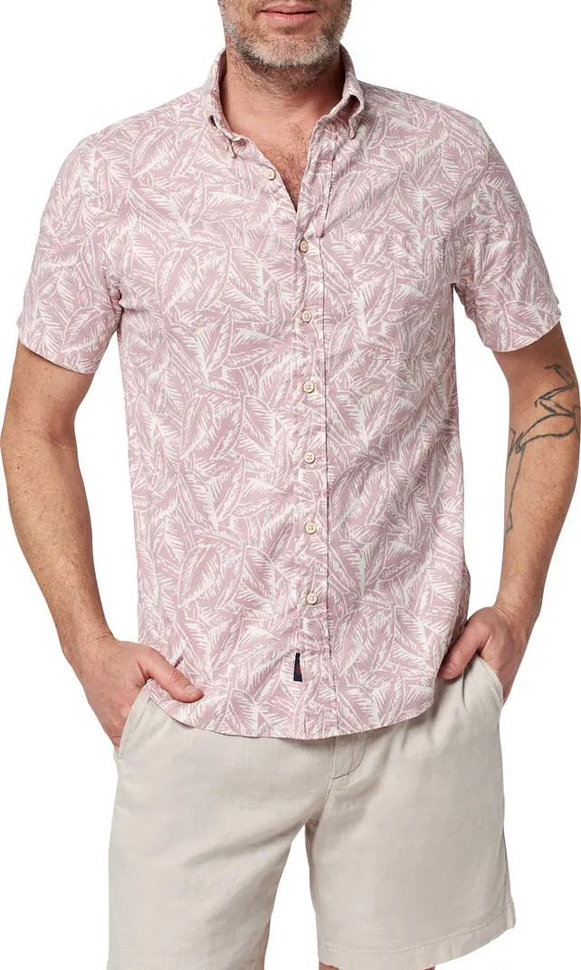 Breeze Palm Print Short Sleeve Button-Down Shirt | Nordstrom