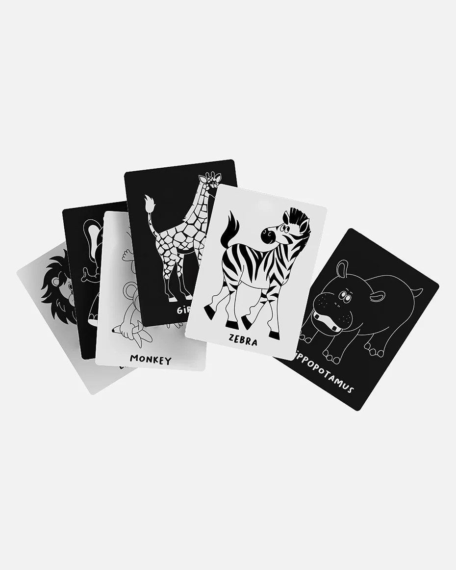 Art Cards from Lalo | Perfect Play Gym Addition | Lalo