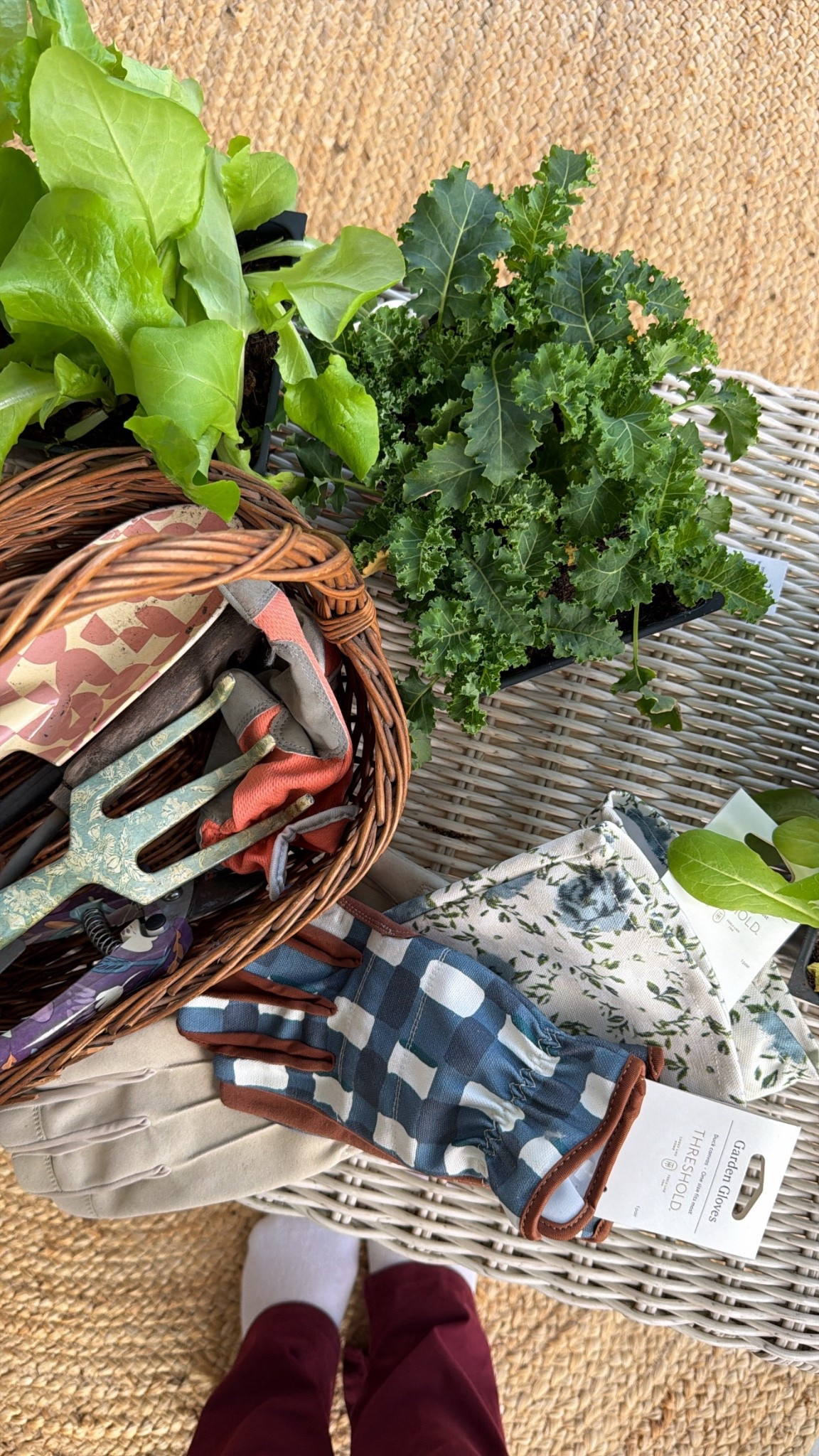 Gardening supplies 

#LTKHome #LTKSeasonal