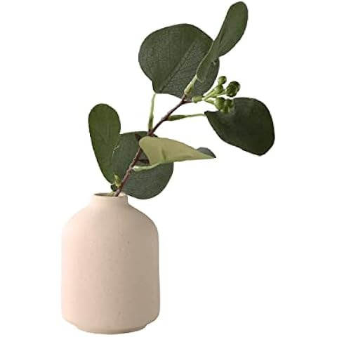 Ceramic Vase - Small Vase, Modern Minimalist Ceramic Vase, Dried Flower Vase, Home Decoration, Fl... | Amazon (US)