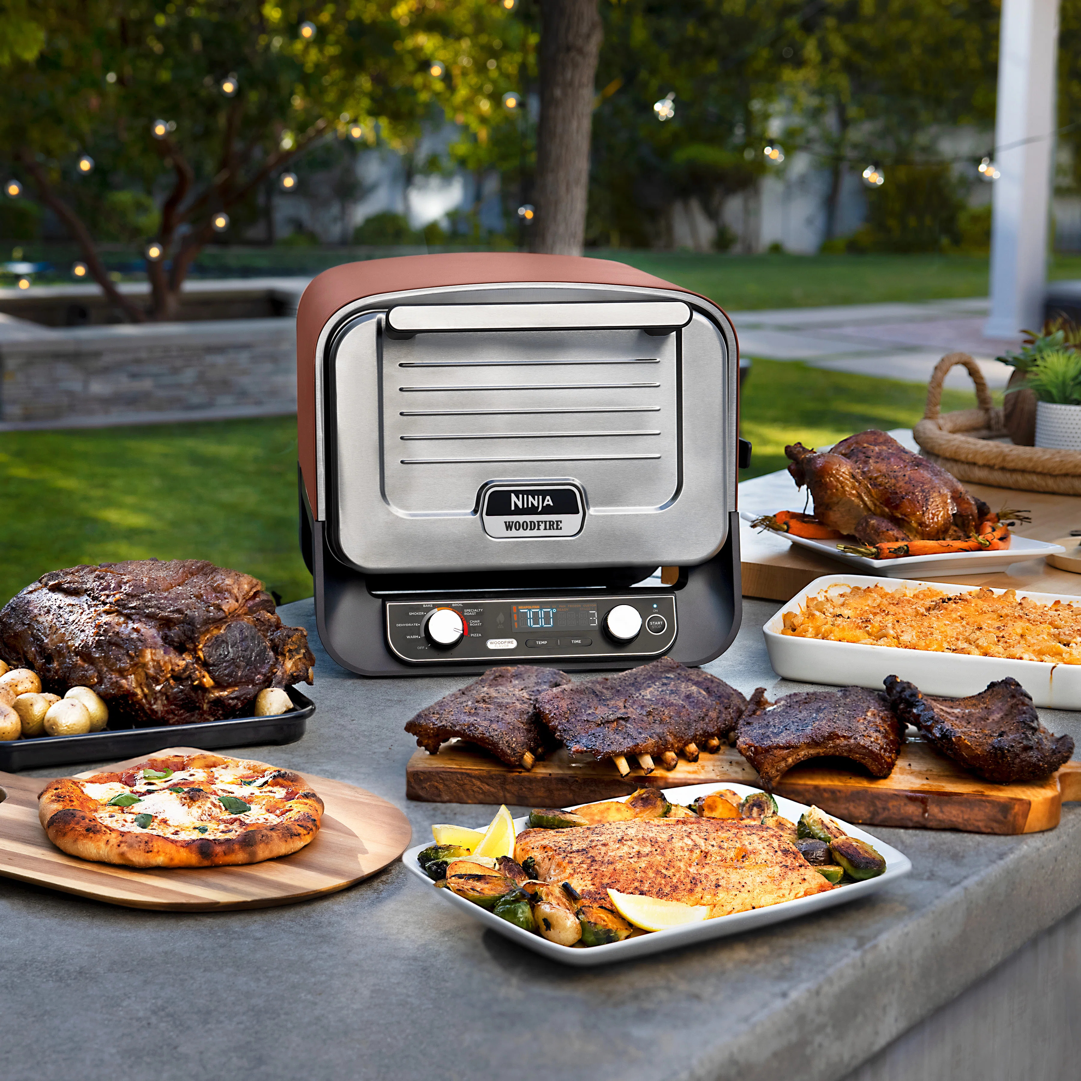 Ninja Woodfire Outdoor Pizza Oven, 8-in-1 Portable Electric Roaster Oven, Heats up to 700°F, 5 A... | Wayfair North America