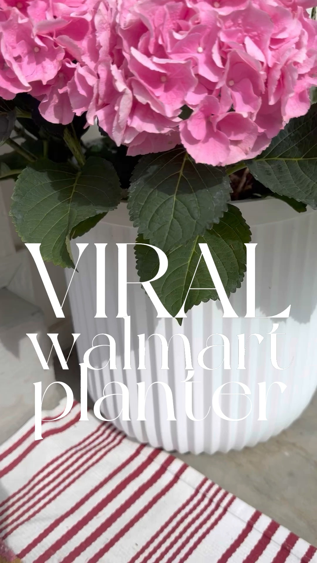 Viral walmart planter! I got two for my front porch then added these beautiful hydrangeas! They are under $30 and durable! @walmart #walmartpartner #walmarthome

#LTKfindsunder50 #LTKstyletip #LTKsalealert