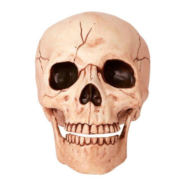 Crazy Bones 18781 Halloween Skull with Movable Jaw - pack of 6 | Walmart (US)