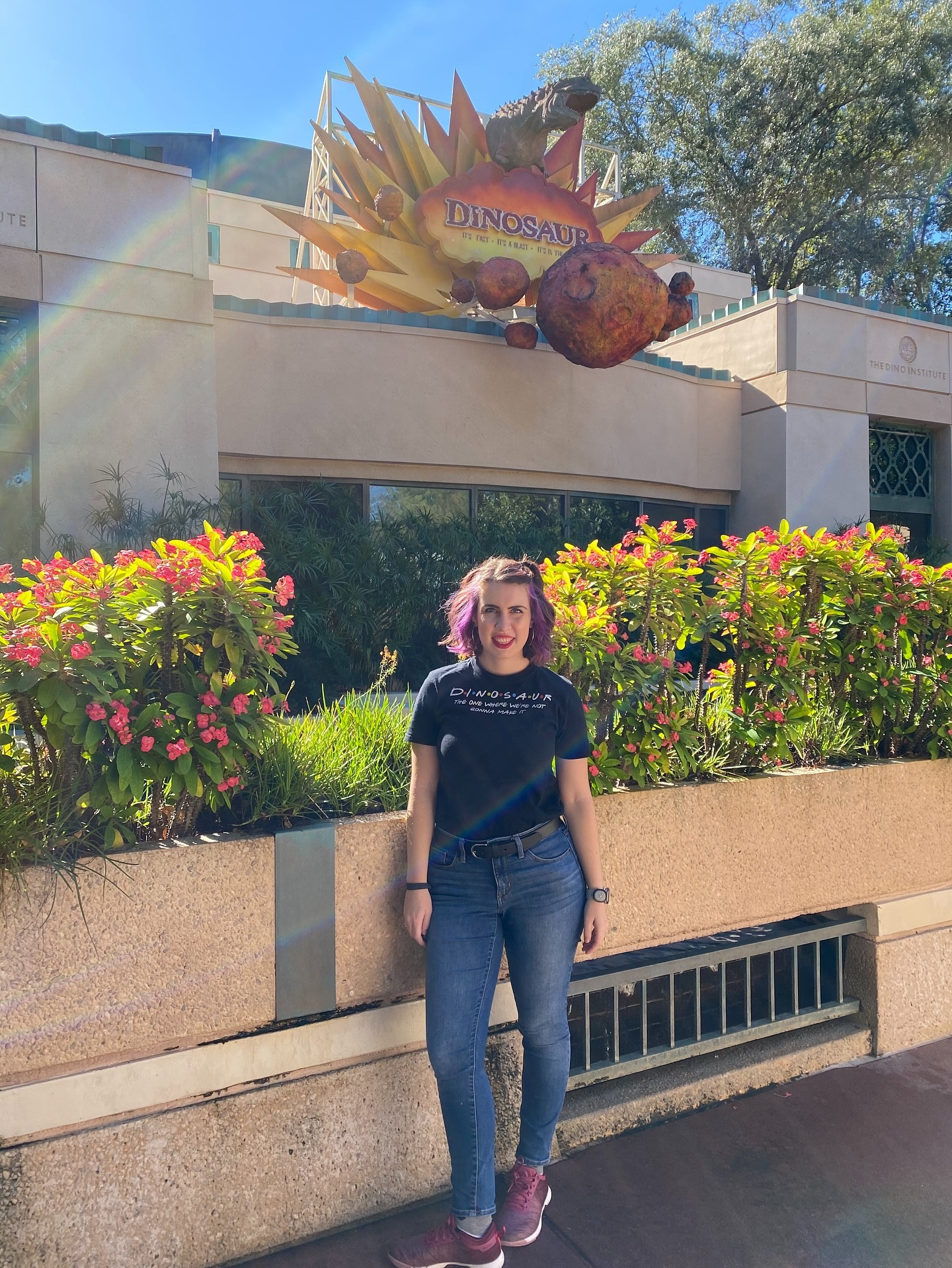 The countdown to extinction is on 😭😭

#dak #animalkingdom #dinosaur #countdowntoextinction #drseeker #dinolandusa