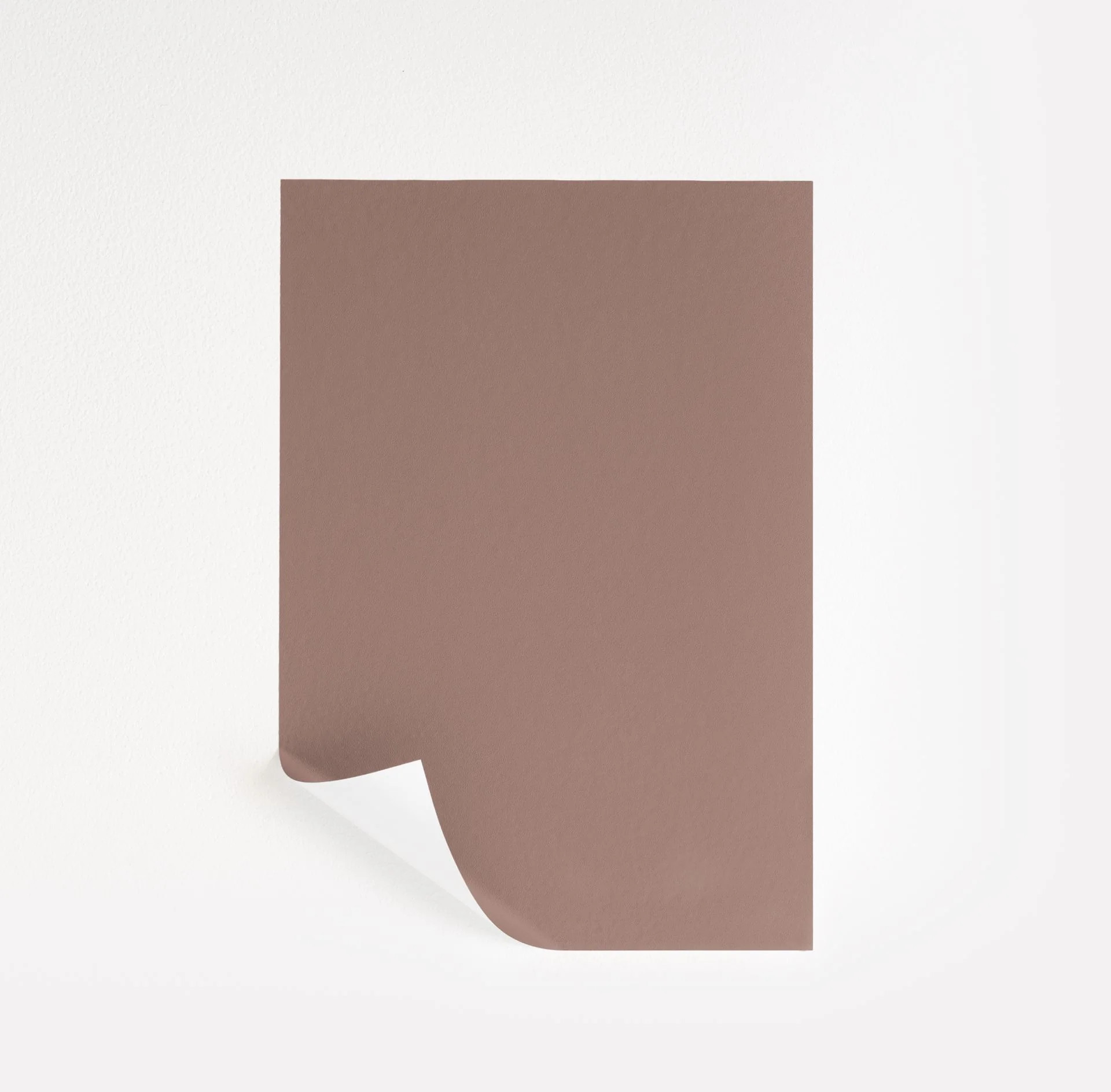 Hushed Auburn  Paint Sample | Samplize