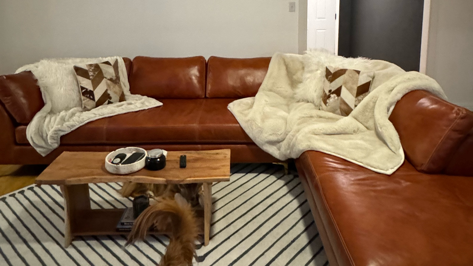 These Pottery Barn Throws are my favorite couch accessory! 

SO cozy & chic!!! 

#LTKHome #LTKMostLoved #LTKGiftGuide