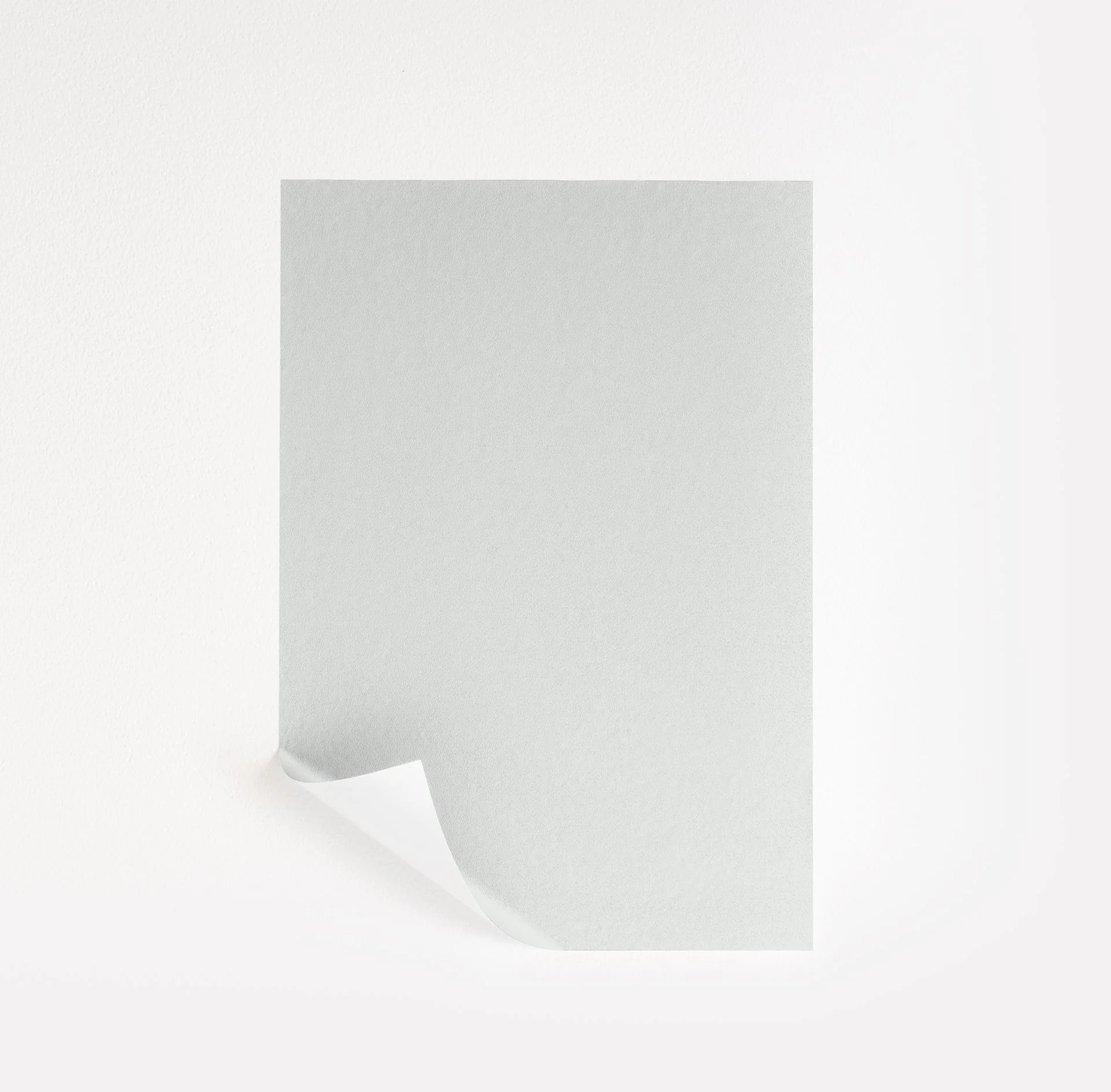 Misty Gray Paint Sample by Benjamin Moore (2124-60) | Peel & Stick Paint Sample | Samplize