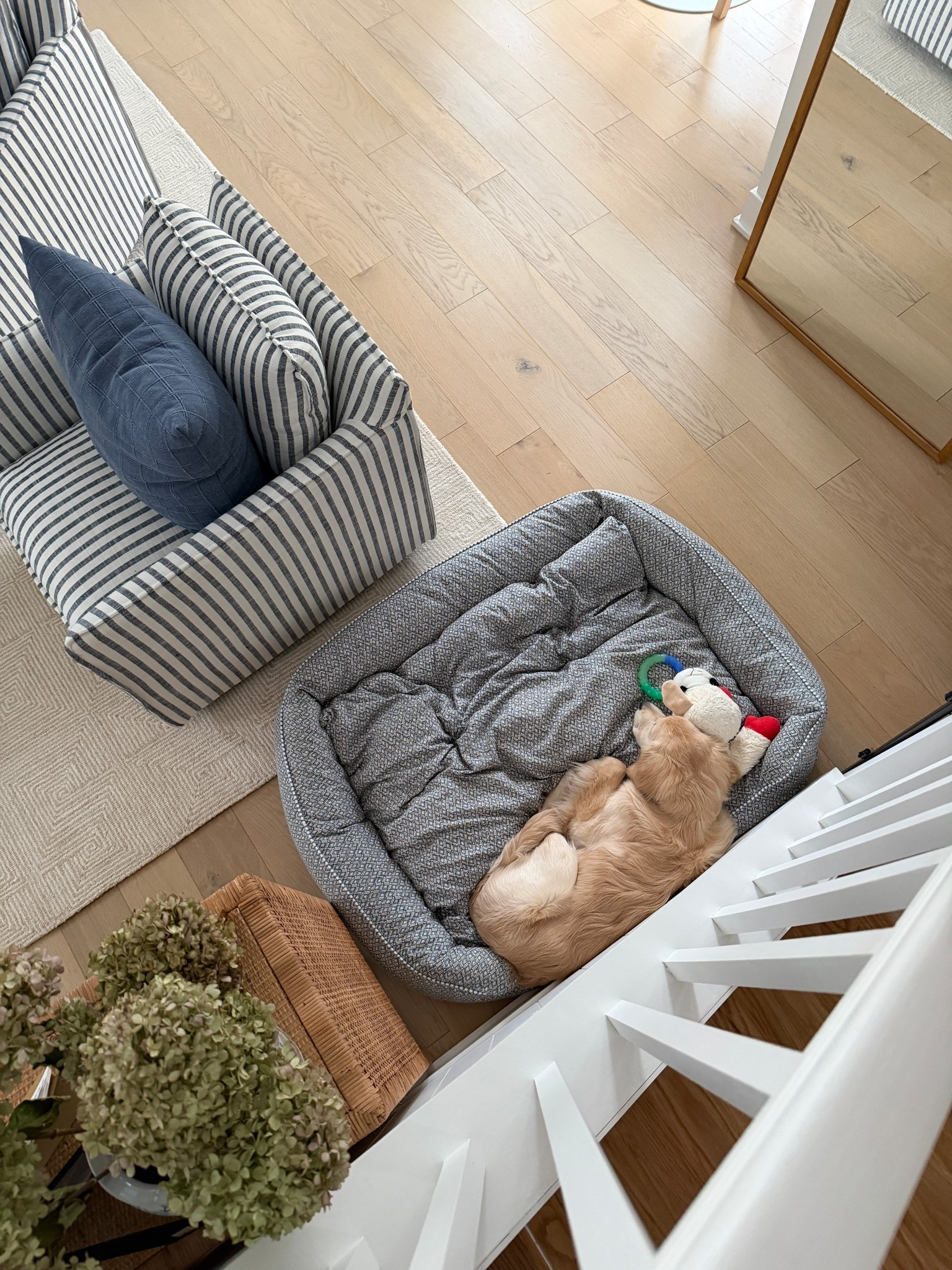 Laird’s bed! size large, though I think medium would’ve been great. 

#LTKHome