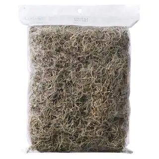 Spanish Moss by Ashland® | Michaels Stores