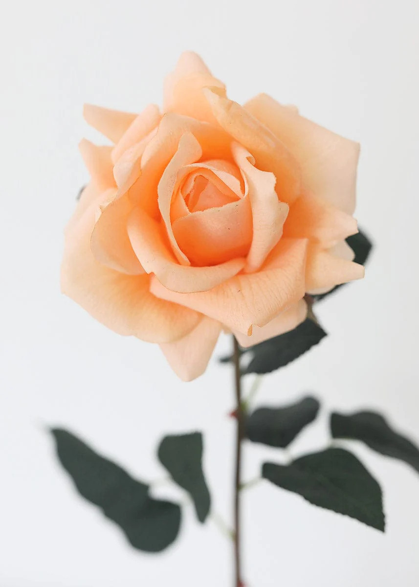 Peach Real Touch Rose - 20.5" | Afloral