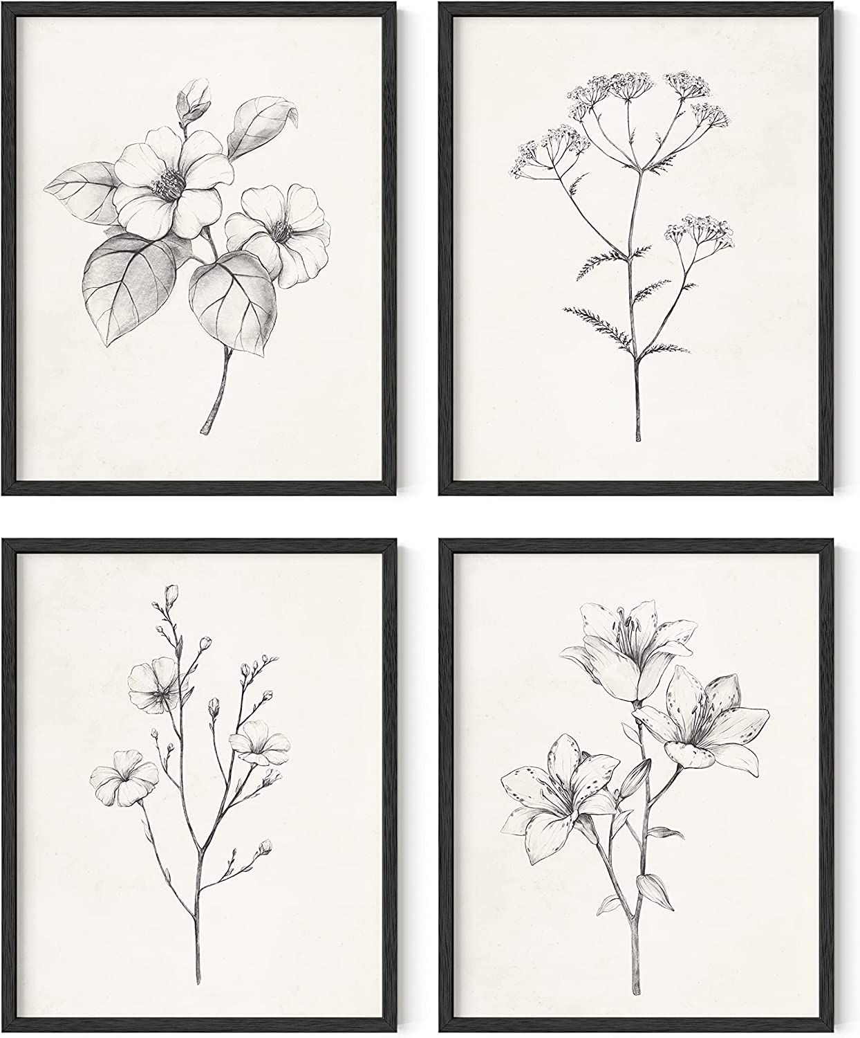Haus and Hues Grey Floral Wall Art - Set of 4 Plant Posters for Wall Vintage, Botanical Prints, B... | Amazon (US)