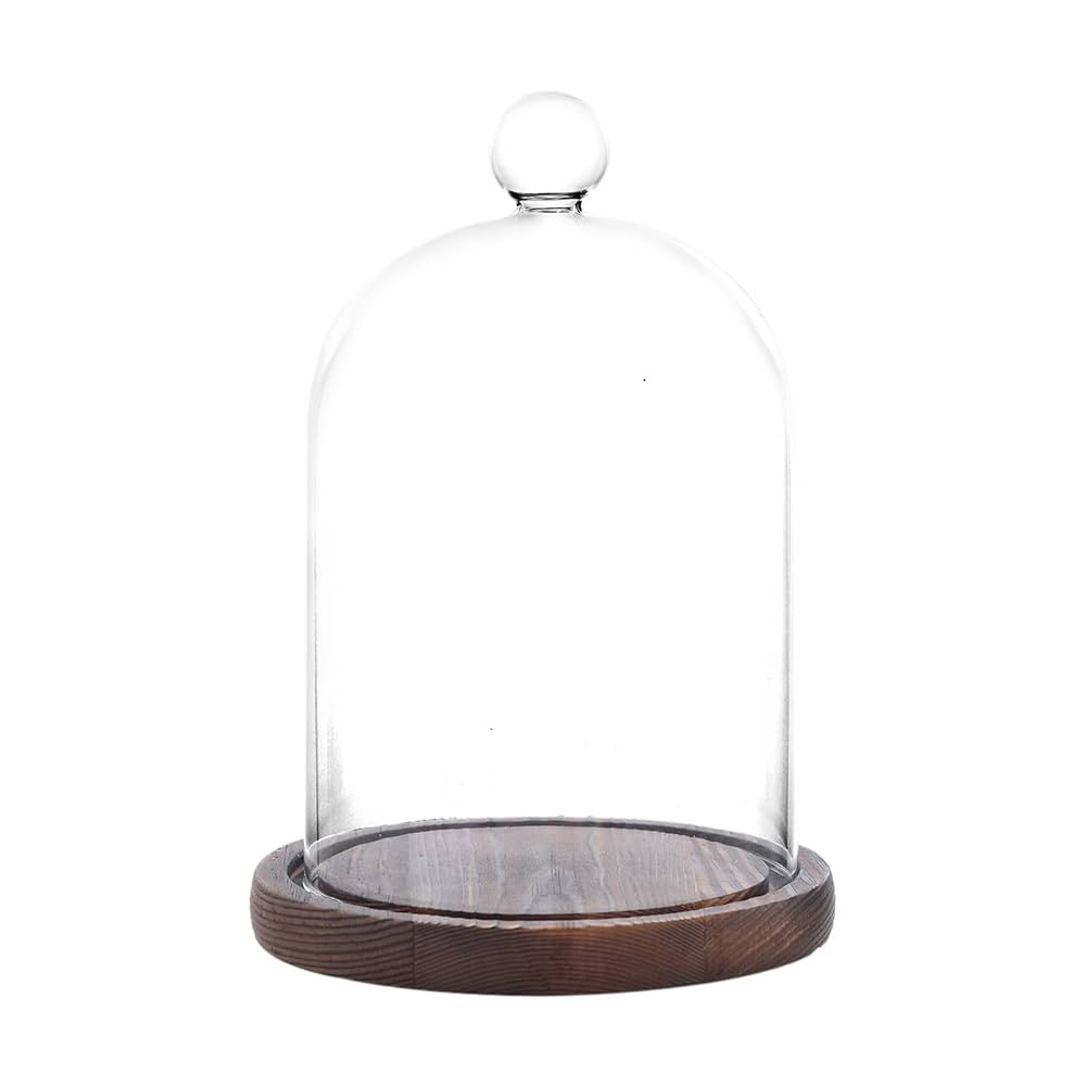 Glass Dome with Base,Glass Cloche Bell Jar,Display Case with Wooden Base for Plants,Collectibles ... | Amazon (US)