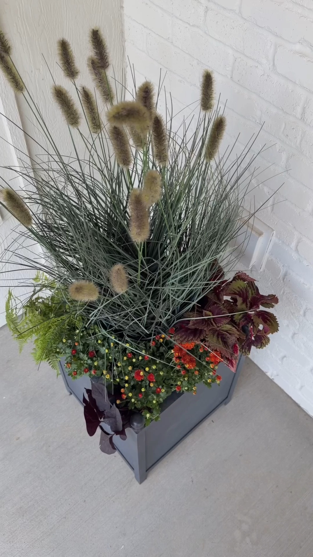 Fall porch planters without a million mums 🙌🏻 I mixed faux ornamental grass with real clearance plants for a full, layered look that’s low maintenance + easy to reuse season after season. Linking the faux grass I used along with my favorite fall porch decor! 🍂

Fall porch, faux plants, doormat m, outdoor lighting, fall decor, home decor, entry, front porch, planter, pot, mcgee & co, studio McGee, Amazon, Amazon home, Target

@Target @mcgeeandco

#LTKHome #LTKSaleAlert #LTKSeasonal