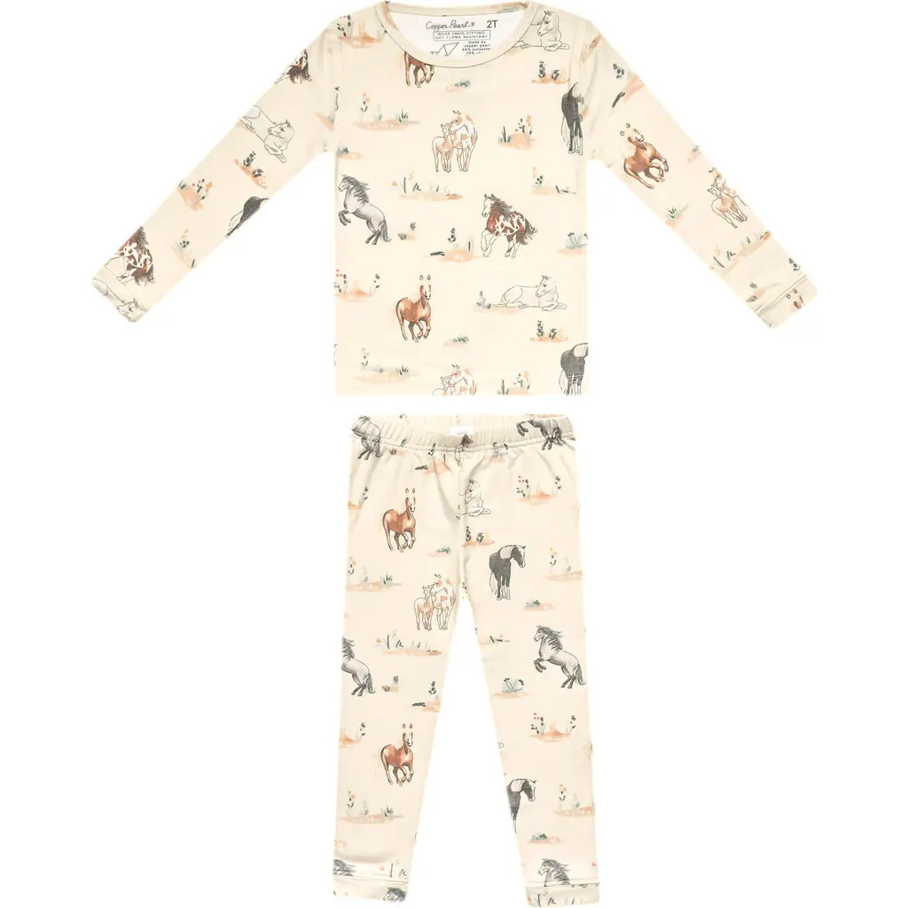 Copper Pearl Montana Long Sleeve Two-Piece Pajamas at Nordstrom, Size 12M | Nordstrom