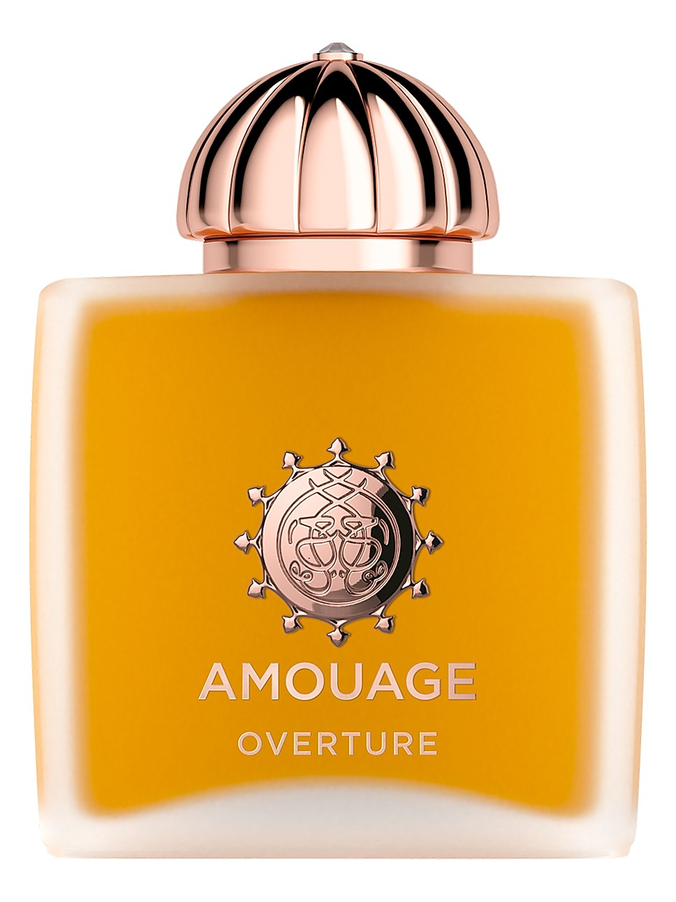Amouage | Saks Fifth Avenue