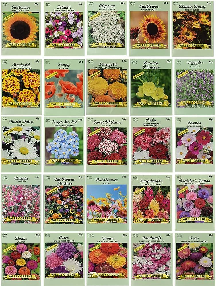 25 Slightly Assorted Flower Seed Packets - Includes 10+ Varieties - May Include: Forget Me Nots, ... | Amazon (US)
