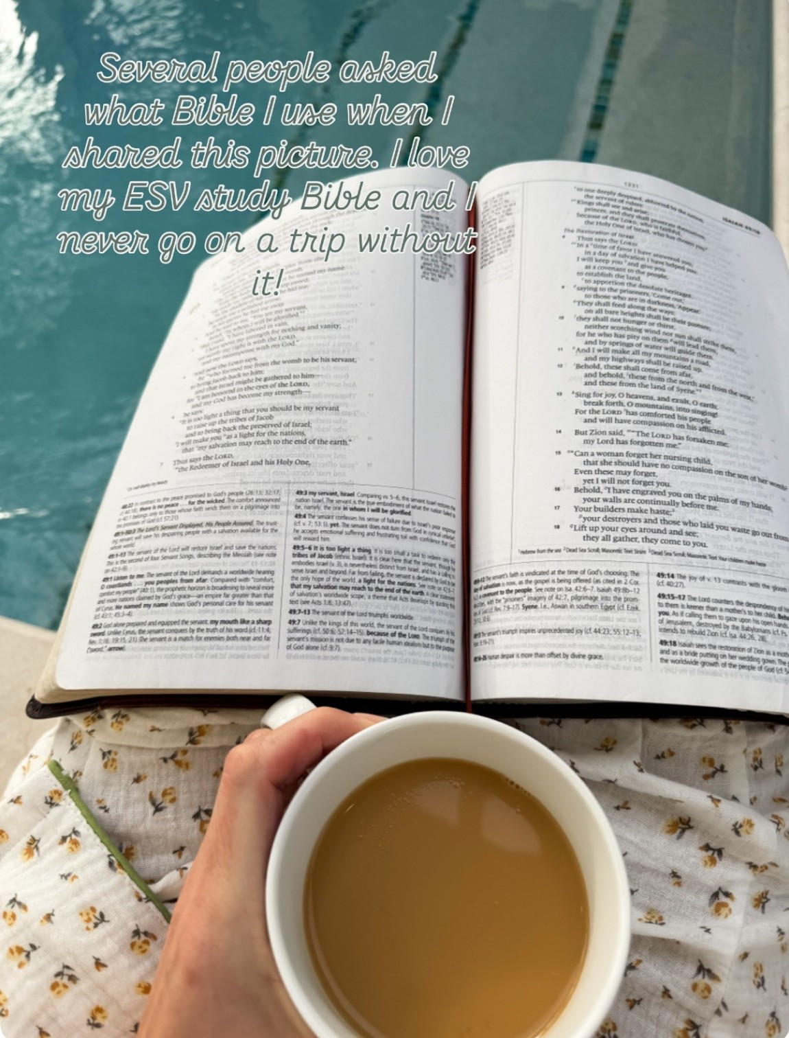 My study Bible 