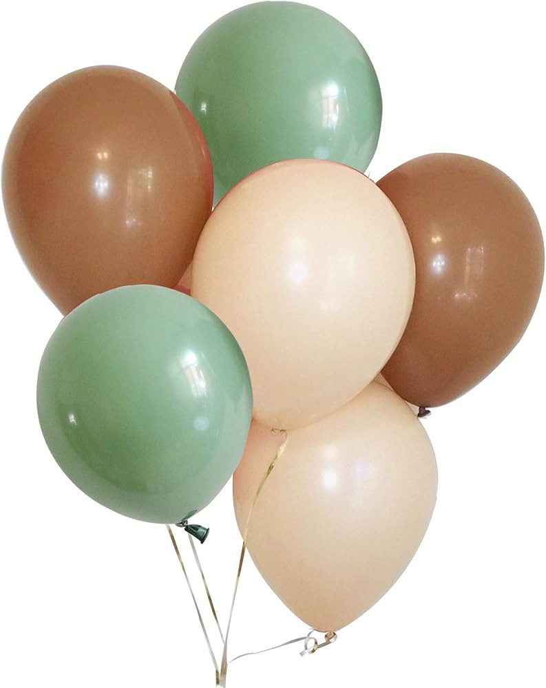 60PCS Sage Green Eucalyptus Avocado Blush Cream Tan Brown 10 Inch Balloon Garland Arch Backdrop f... | Amazon (US)