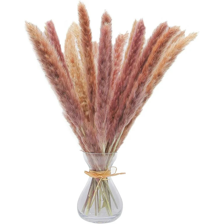 30 Pcs 45 cm All Natural Dried Pampas Grass Vase Decor - Dried Flowers for Vase - Pampass Grass B... | Walmart (US)
