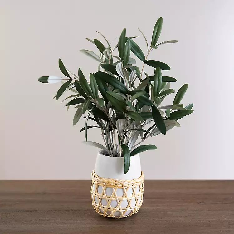 New!Olive Leaf Arrangement in White Woven Planter | Kirkland's Home