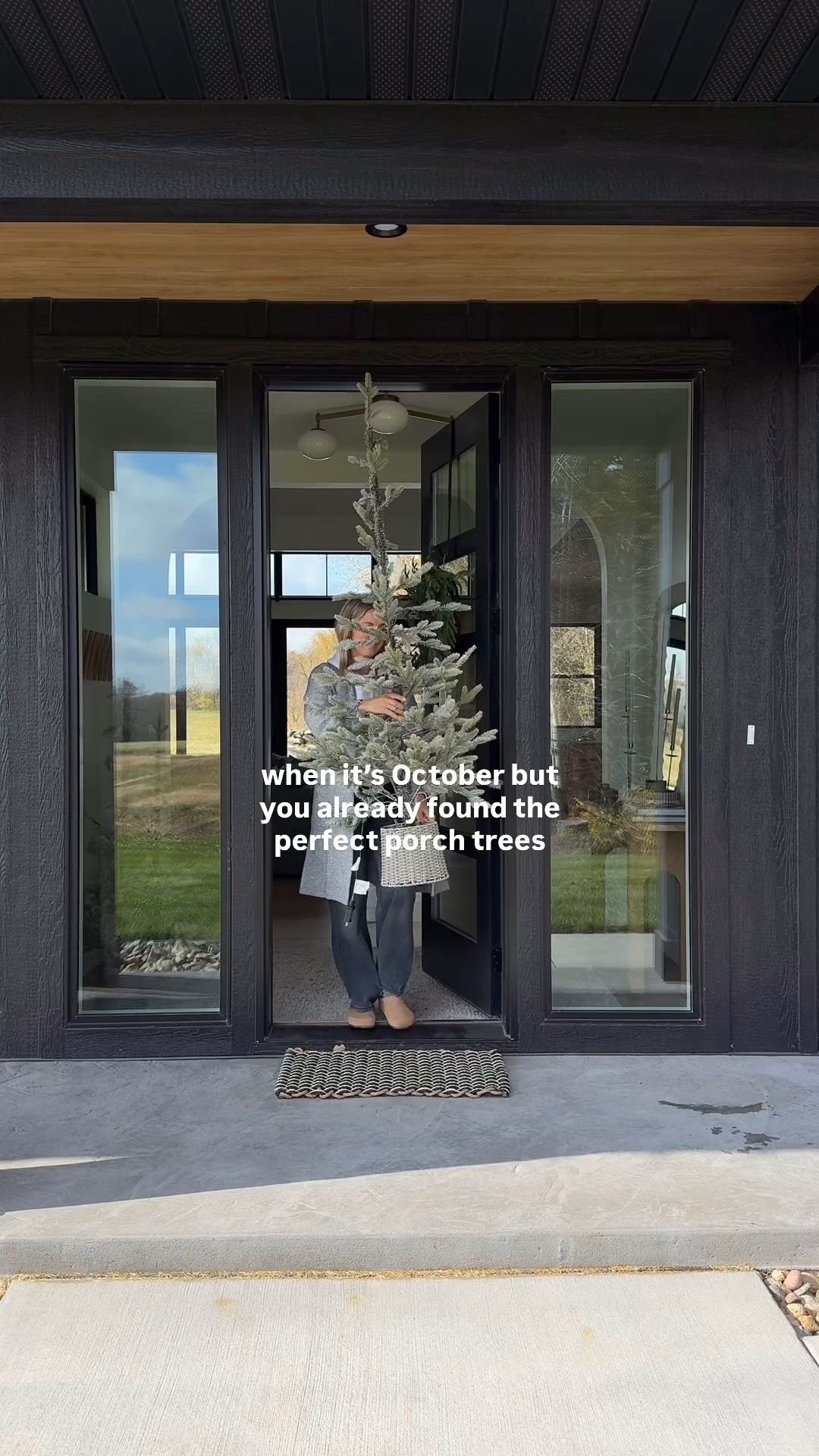 These Balsam pre lit trees from Target are so cute and come in three sizes! 

#LTKHome #LTKHoliday