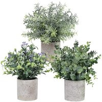 3 Pack Assorted Greenery in Pots Artificial Eucalyptus Rosemary Seeded Boxwood Small Potted Plants D | Etsy (US)