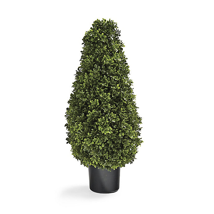 Indoor/Outdoor Boxwood Cones | Frontgate