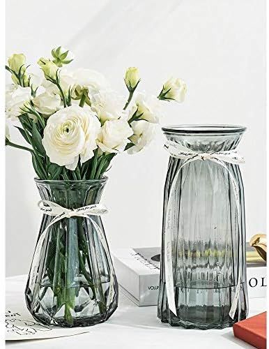 XILEI Glass Vase for Flower Home Decoration, Desk Placement or Gift 2 Pieces (A2) | Amazon (US)