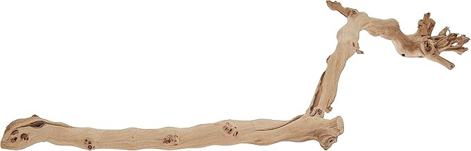 Exo Terra Forest Branch, Large | Amazon (US)