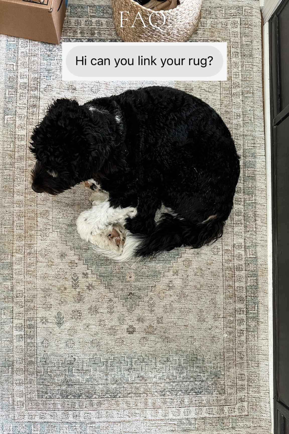 My entryway rug is linked here! It’s Pierre approved ❤️ 

#target 

#LTKFind #LTKstyletip #LTKhome