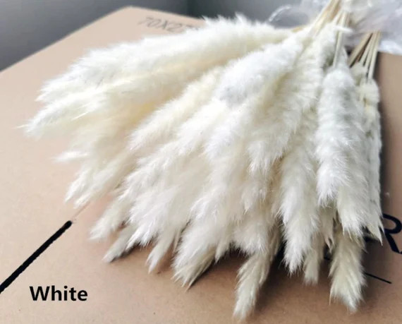 15pcs WHITE PAMPAS GRASS 24  Dried Flowers for Home - Etsy | Etsy (US)
