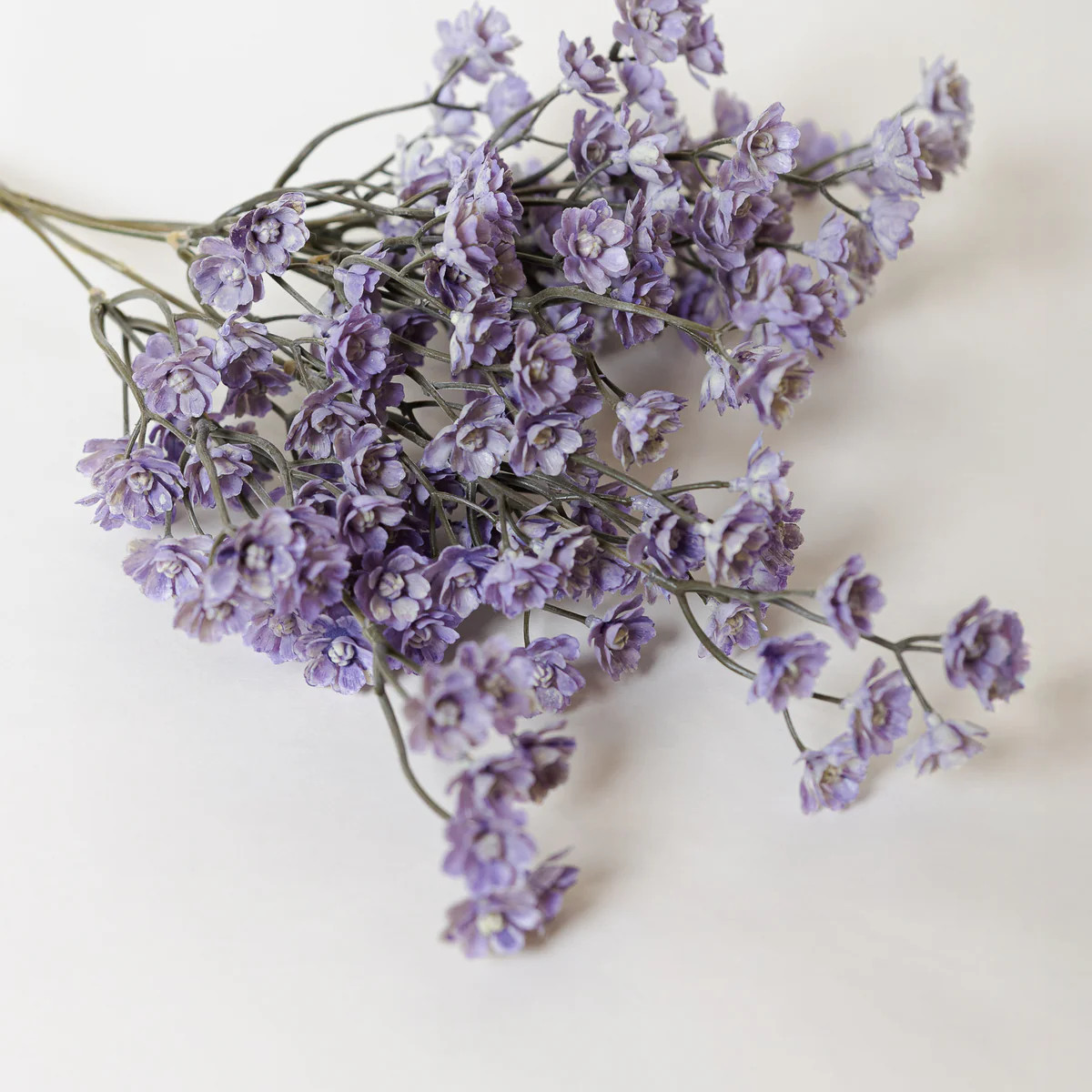 Field Blossom Stem Purple | Purple Rose & Co