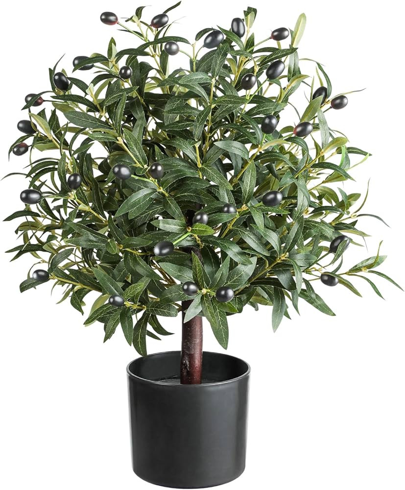 25.5” Tall Artificial Topiary Ball Olive Tree with Leaves and Fruits, Olive Boxwood Topiary Bal... | Amazon (US)