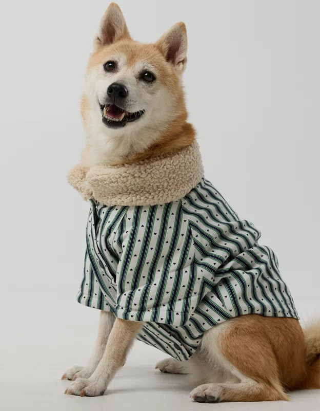 OFFLEASH By Aerie Flannel Dog Shirt | Aerie
