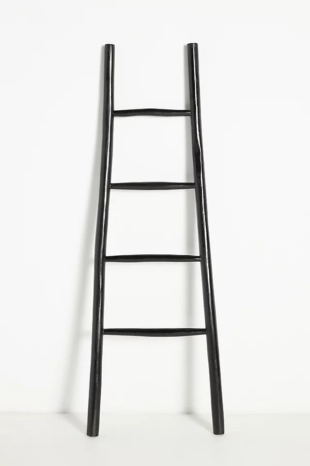 Travis Decorative Teak Ladder | Anthropologie (US)