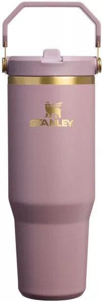 Stanley 30 oz. IceFlow 2.0 Flip Straw Tumbler | DICK'S Sporting Goods