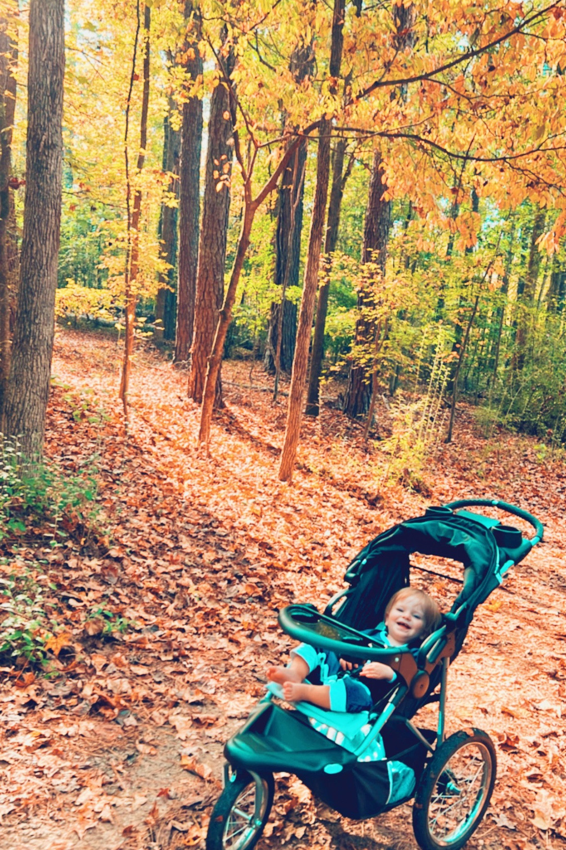 little pumpkin lookin’ like an absolute fall DREAM out in these gorgeous trees 🍁👼🏼🍂 

#LTKfamily #LTKfit #LTKbaby