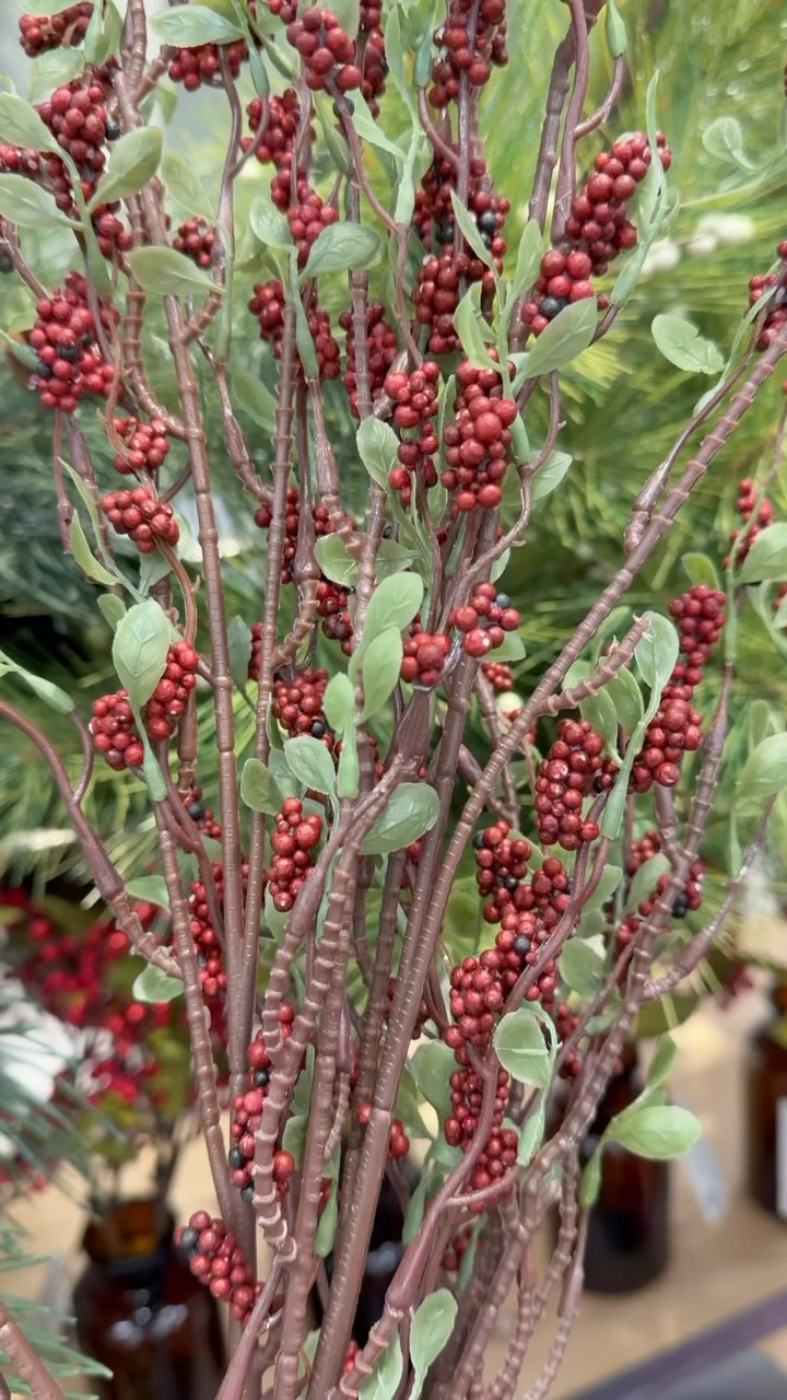 I found these stunning stems from Target. These look beautiful during the holidays and are such a great addition to your decor. 🎁🎄


#LTKStyleTip #LTKHoliday #LTKGiftGuide