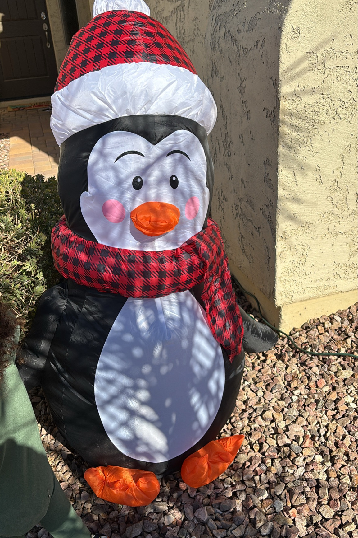 Penguin outdoor inflatable 🖤🐧 

#inflatables #outdoordecor #christmasinflatables #homefinds #christmas #holidaydecor #amazonfinds 

#LTKSeasonal #LTKSaleAlert #LTKHoliday