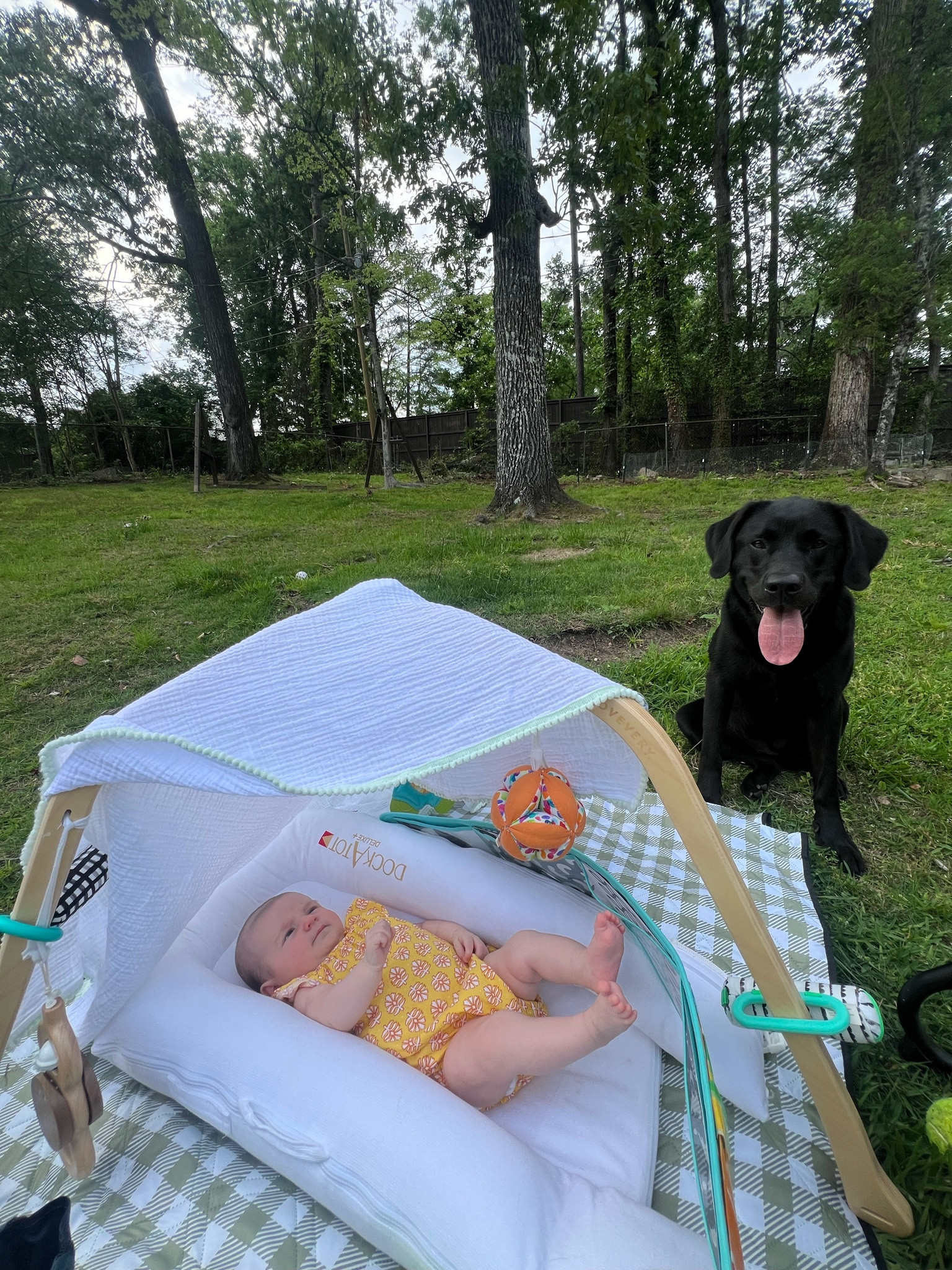 Setting up for summer success 💃🏻