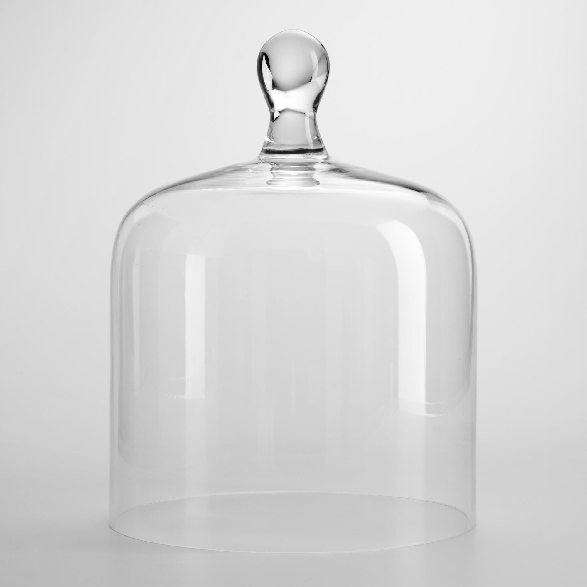 Glass Cloche | World Market