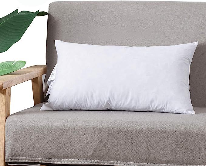 DOWNCOOL 100% Cotton Stuffer Throw Pillow Insert, Rectangle Down and Feather Filled Decorative Be... | Amazon (US)